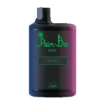 Palm Bar 5500 Puffs Disposable