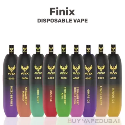 Finix 6000 Puffs Disposable Vape