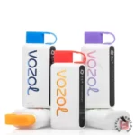 Vozol Star 12000 Puffs Disposable