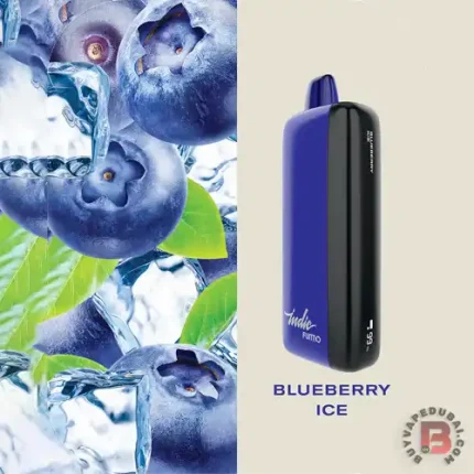 Fummo Indic 12k Disposable Vape In Dubai UAE Blueberry Ice