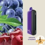 FUMMO INDIC 12K DISPOSABLE - Image 5