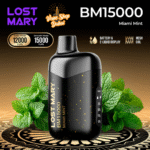 LOST MARY BM15000 Disposable Vape - Miami Mint