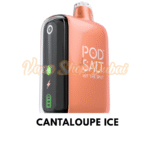 Pod Salt 15000 Puffs Disposable Vape 20mg In UAE - Cantaloupe Ice